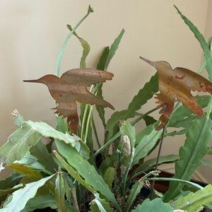 Rustic Metal Bird Hummingbird Garden Stakes Metal garden art decor Hand crafted